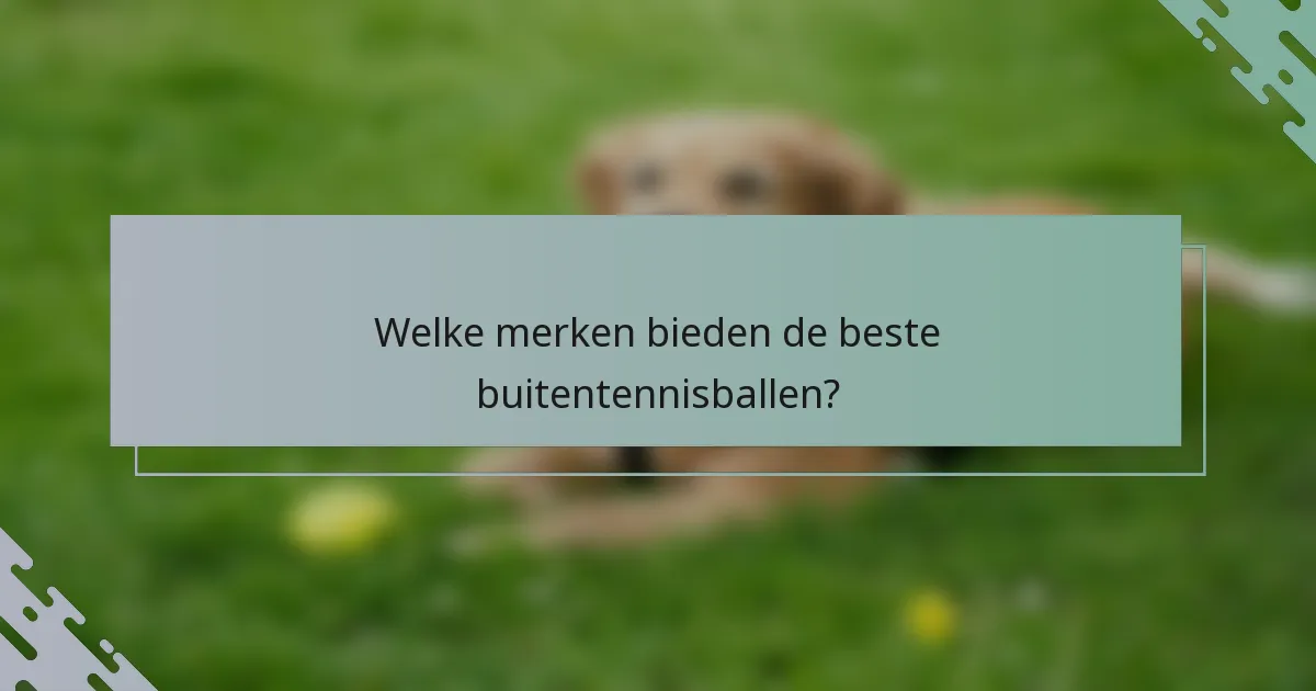 Welke merken bieden de beste buitentennisballen?