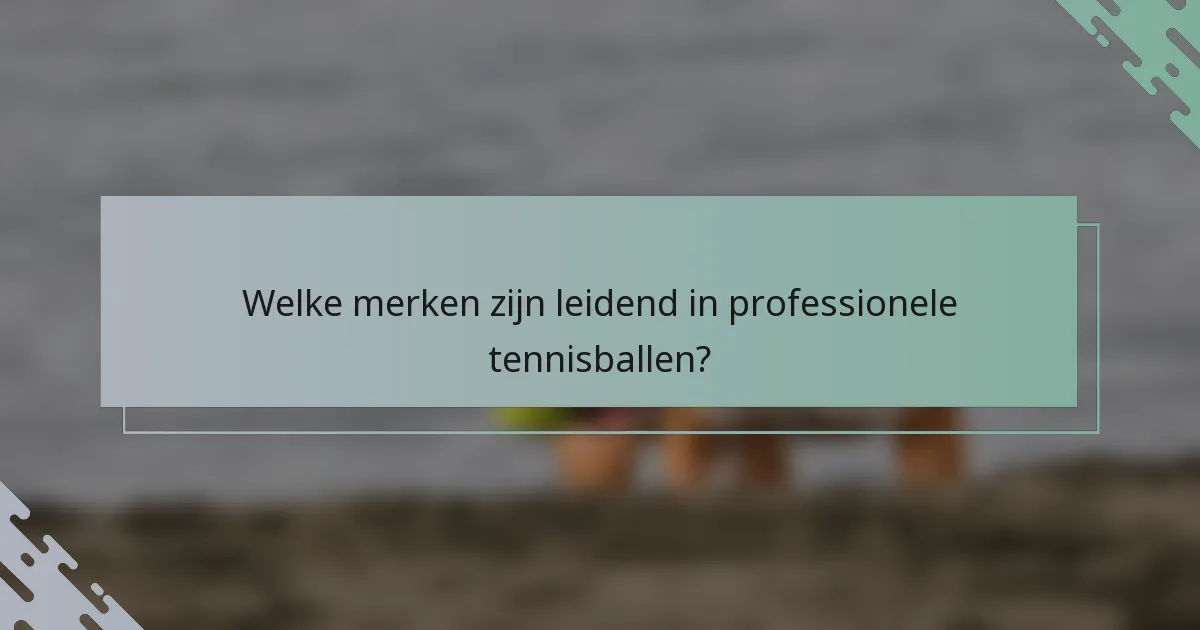 Welke merken zijn leidend in professionele tennisballen?